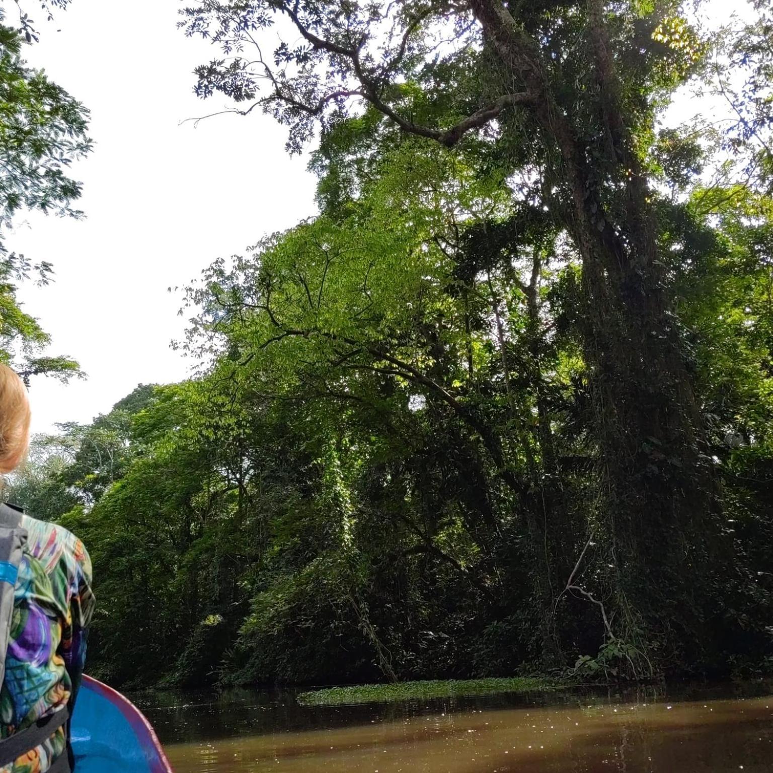 Tortuguero Villas Εξωτερικό φωτογραφία