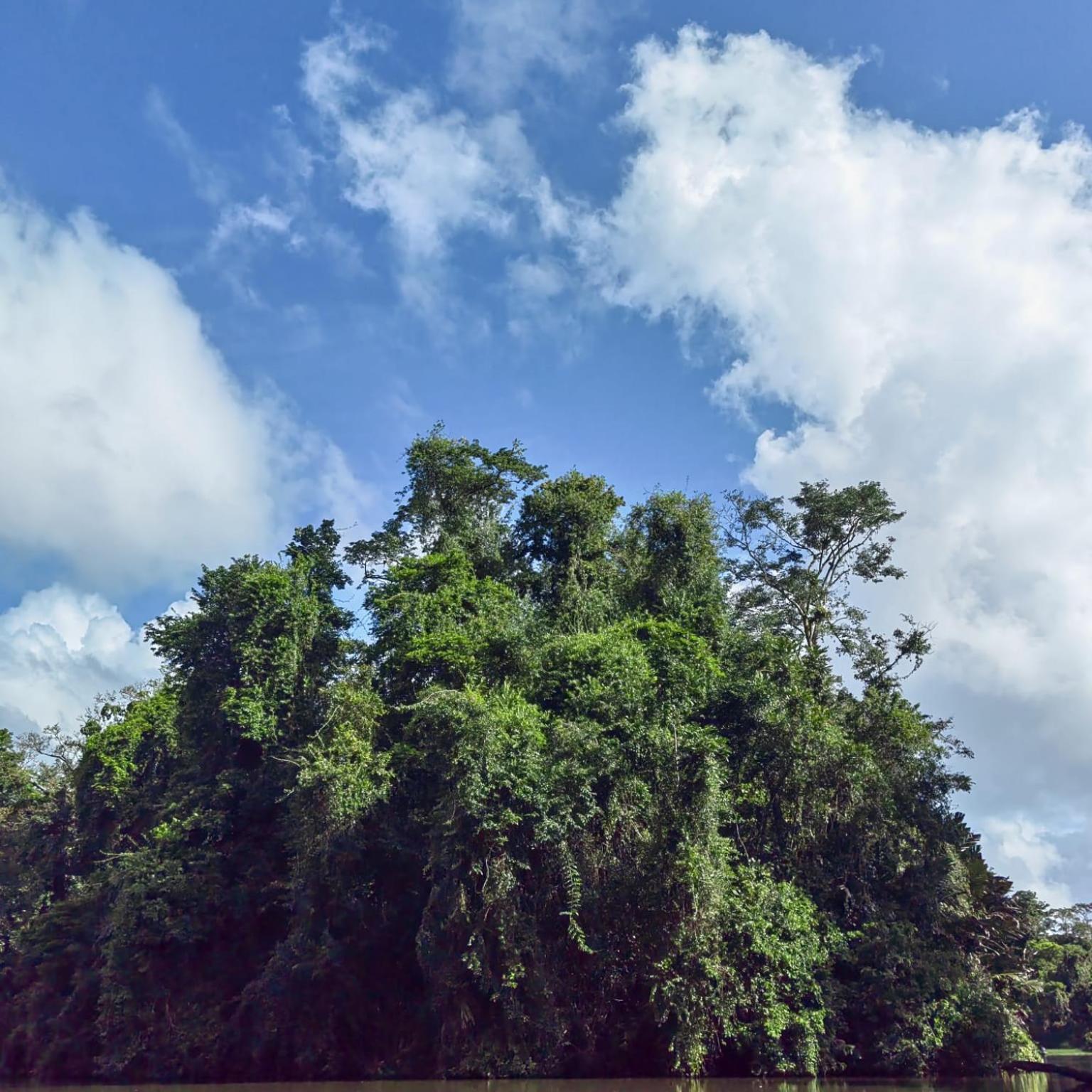 Tortuguero Villas Εξωτερικό φωτογραφία