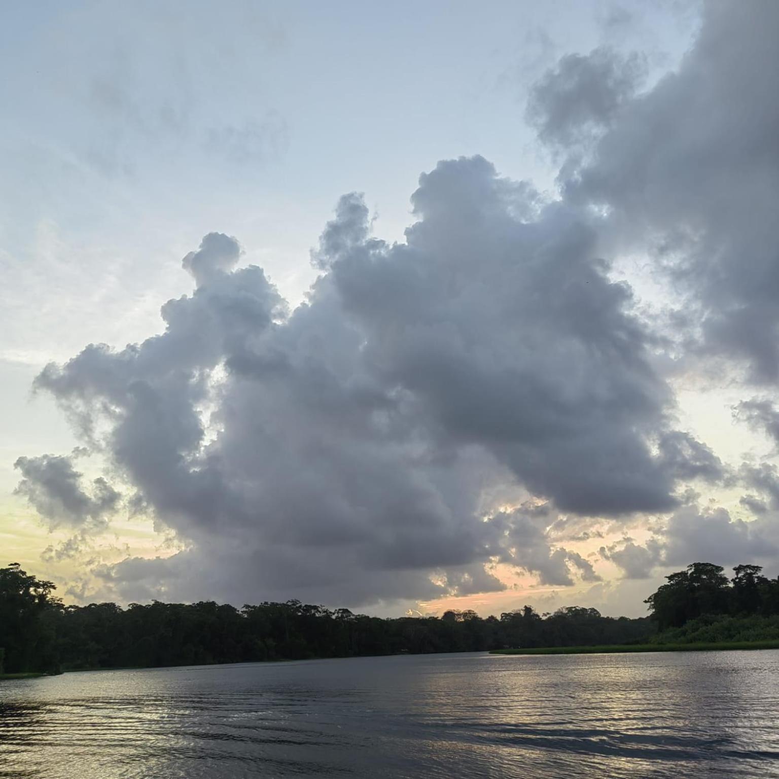 Tortuguero Villas Εξωτερικό φωτογραφία